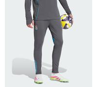 Pantalon d'entraînement Newcastle United FC Tiro 25 Competition Grey Five XL