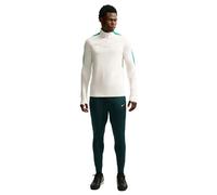 Pantalon d'entraînement Nike Strike Bleu XS Male