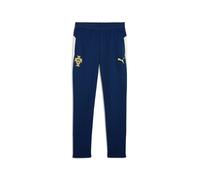 Portugal Portogallo Puma Pantalon De Survêtement Pants Hose Persian Blue 2025