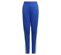 Pantalon D'Entraînement Squadra 21 Adidas - Royal Blue / Team Solar Yellow - 13-14a