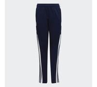 Pantalon d'entraînement Squadra 21 Team Navy / White 5-6A