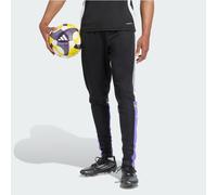 adidas Homme SQUADRA25 Training Pant, Black/Purple Rush, XS