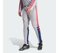 Pantalon d'entraînement Squadra 25 Glory Grey / Team Navy Blue 2 / Pure Ruby S