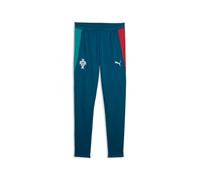 Puma Pantalon d'entraînement Training Portugal Coupe du Monde 2026 Enfant Vert 7-8 ans