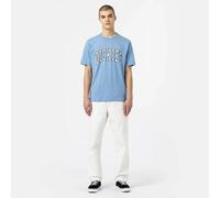 Dickies Dc Carpenter Pants Blanc 28 Homme