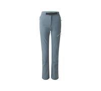 Dare2b Melodic Pro Ii Pants Gris 46 / Regular Femme