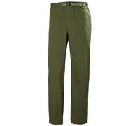 Helly Hansen Holmen Relaxed Pants Vert 32 / 35 Homme