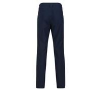 Regatta Dayhike Iv Pants Bleu 40 / Regular Homme