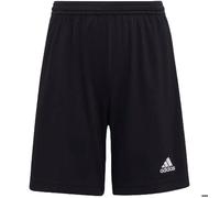 Adidas Short Entrada 22 Enfant mixte Noir 13-14 ans