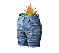 Pantalon pot - à thème extravagants, planteur de fleurs succulentes, décoration artistique pantalon pot humoristique arteciper à un mariage intérieur, support de balcon pour le salon