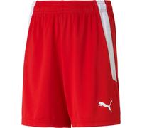 Pantalon Puma Teamliga 70493101