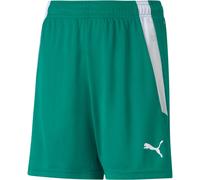 Pantalon Puma Teamliga 70493105