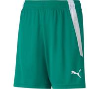Pantalon Puma Teamliga 70493105