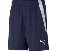 Pantalon Puma Teamliga 70493106
