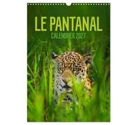 Pantanal calendrier mural 2027 din a3 ho: Le pantanal bresilien un autre