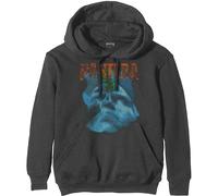 Pantera Far Beyond Driven World Tour Charcoal Grey L Hoodie