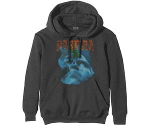 Pantera Far Beyond Driven World Tour Charcoal Grey L Hoodie