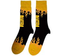 Pantera Flame Band Logo Ankle Chaussettes Size One Size