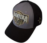Pantera Skull Casquette Charcoal Grey & Black UNI