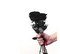 Pantha Negra - They Don't Let Me In [VINYL] [Vinyl LP]