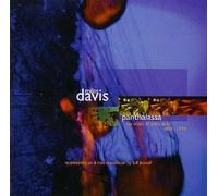 Panthalassa-The Music of Miles Davis 1969-1974 [Import]