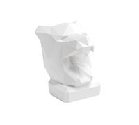 Panther Boîte à mouchoirs en forme de tête de panthère blanche pour cuisine, salle de bain, salle à manger et chambre à coucher 21 x 23 x 30 cm