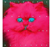 Panther in The Dollhouse