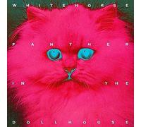 Panther in The Dollhouse