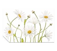 Panther Print Fine Art Prints Poster artistique sans cadre Œil de bœuf blanc marguerites fleurs jardin artistique sans cadre pour décoration murale d'intérieur, chambre à coucher, salon et salle de