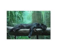Panthère Noire sur l'arbre，1000 Pièces Puzzle Défi Cérébral pour Enfants Bricolage Cadeau Amusant Jeu D'intérieur Décor À La Maison（50x70cm）-F76