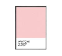 Pantone couleur mur Art décor imprime affiche jaune bleu vert rose moderne toile peinture for salon décoratif Bundle infirmière (Color : C, Size : 20x30cm No Frame)
