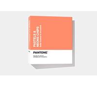 Pantone GB1504A Carnet de puces pastel et néon Édition 2019