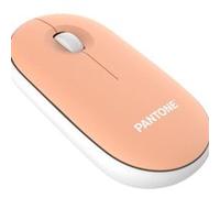 Pantone PT-MS001E souris Maison RF sans fil Laser 100 DPI G