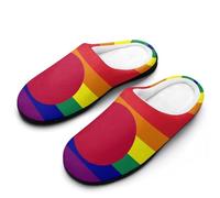 Pantoufle Drapeau De La Fierté Gay Du Japon Slippers M