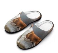 Pantoufle Saint Dog Slippers L