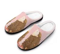 Pantoufles d'intérieur chaudes en coton pour femmes, motif aquarelle planète hérisson et ballon en forme de cœur, automne-hiver, semelle en caoutchouc antidérapante, motif couple de hérissons et ba