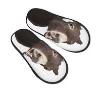 Pantoufles en fourrure avec imprimé âne amusant pour homme et femme - Chaussons d'hiver doux et chauds pour l'intérieur et l'extérieur - Cadeau, Noir , X-Large