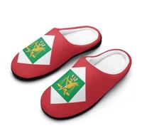 Pantoufles En Peluche Drapeau De La République Italienne Slippers S