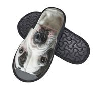 Pantoufles Unisexes Dalmatien Mignon Chaussons Femme Automne Hiver Doux Pantoufle Homme, Pour Fête, Hommes, Femmes, L