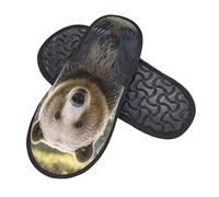 Pantoufles Unisexes Salut L'Ours, Assieds-Toi Sur La Pelouse Chaussons Doux Antidérapantes Pantoufles À La Maison, Pour Femmes, Hommes, Intérieur Extérieur, M
