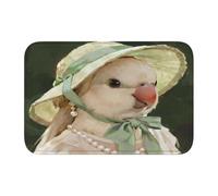 panverix Bird Lady Tapis de bain antidérapant pour sol 60 x 40 cm