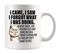 Panvola Tasse en céramique blanche avec inscription « I Came I Saw I Forgot What I Was Doing Old People » - Cadeau pour personnes âgées - Cadeau pour personnes souffrant de démence - Blanc - 325 ml