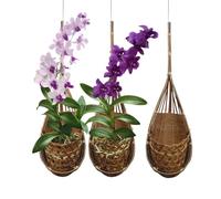PANWA Lot de 3 paniers à orchidée Faits à la Main 100% Bambou thaïlandais tissé - Lot de 3 paniers à orchidées Multi-usages Style nid d'oiseau pour tonnelle - Pot de Fleurs intérieur/extérieur