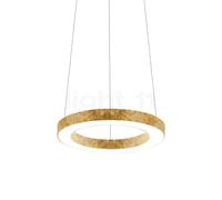 Panzeri Silver Ring Suspension LED