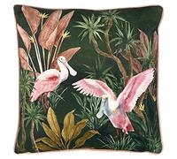 Paoletti Platalea Coussin Garni de Plumes Polyester Coton Vert