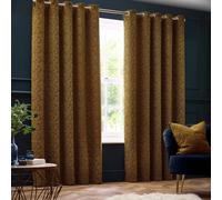 Paoletti - Rideaux à oeillets "New Galaxy", chenille RV3278 (117 cm x 137 cm) (Or)