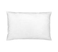 Paoletti Riva 100% Fines Blanc Plume De Canard Coussin Intérieur Pad, 30 X 50 Cm, Coton, Blanc