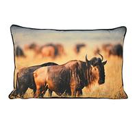 Paoletti Riva Accueil Gnous Coussin (40X60Cm) (Tan)