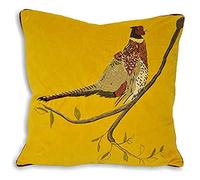 Paoletti Riva Accueil Hunter Velours Plume Coussin Rempli, Vert, 45 X 45 Cm