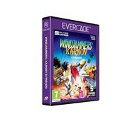 PAON Arcade & Windjammers & Friends INT (Jeu retro)